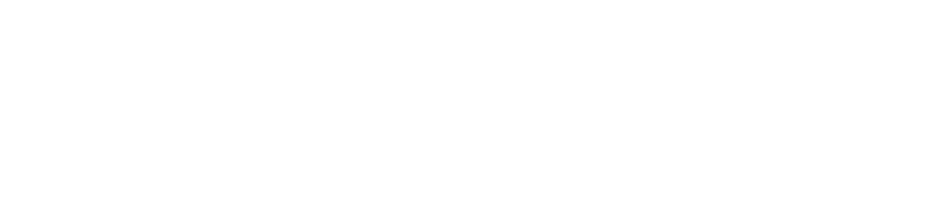 weißeslogo